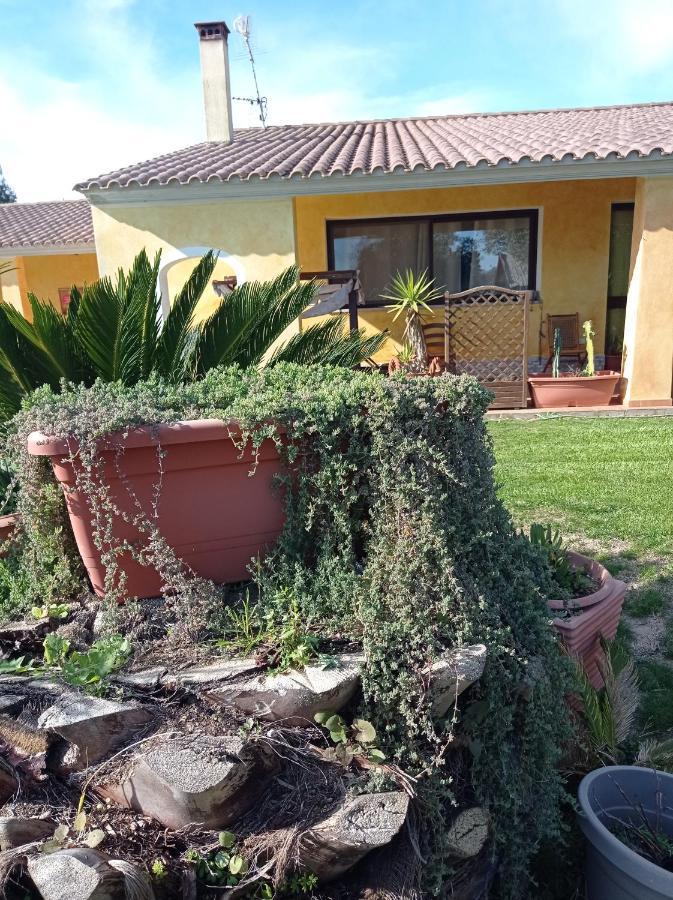 La Luce Del Sinis Villa Riola Sardo Kültér fotó